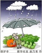 警惕政策性農(nóng)業(yè)保險(xiǎn)貪腐案多發(fā)