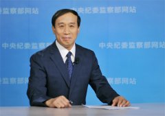 中紀(jì)委駐全國人大機(jī)關(guān)紀(jì)檢組：對19名領(lǐng)導(dǎo)干部問責(zé) 部級2名