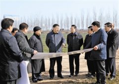 千年大計(jì)、國家大事
