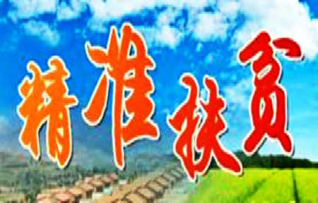 關于扶貧工作 習近平總書記這樣說