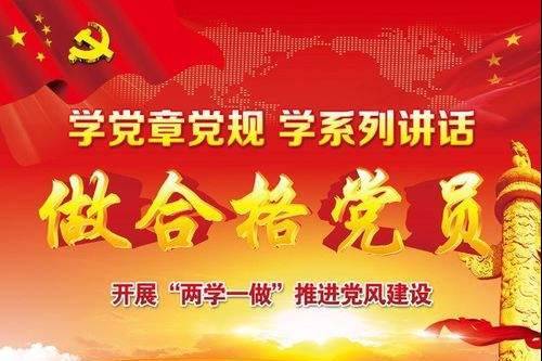 “兩學(xué)一做”，激發(fā)脫貧攻堅(jiān)的磅礴力量（砥礪奮進(jìn)的五年·全面從