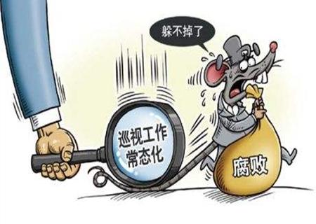 十八屆中央第十二輪巡視整改情況將陸續(xù)公布