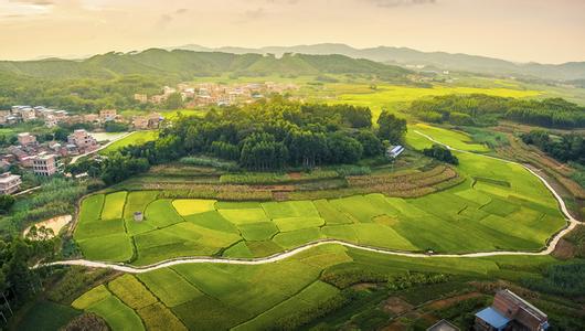 把農(nóng)村公路建好管好護(hù)好運(yùn)營好 為廣大農(nóng)民致富 奔小康加快推進(jìn)農(nóng)