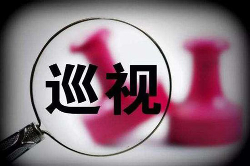 十九屆中央第六輪巡視整改情況開始公布