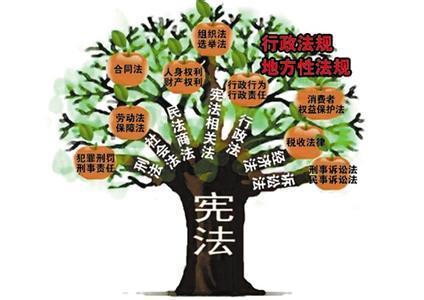 人民網(wǎng)評：與時俱進，讓憲法擁有持久生命力