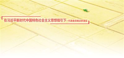 鄉(xiāng)村振興 小康成色更足（在習(xí)近平新時(shí)代中國(guó)特色社會(huì)主義思想指