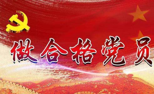 中央政治局同志向黨中央和習近平總書記述職