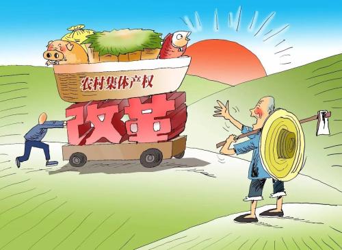 農(nóng)業(yè)農(nóng)村部：農(nóng)村集體資產(chǎn)清產(chǎn)核資將于明年底前完成