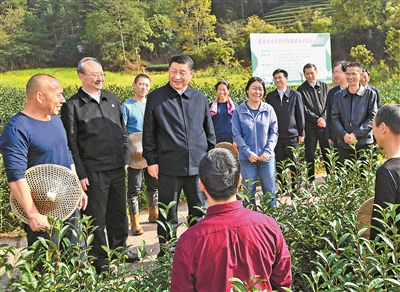 3月22日至25日，中共中央總書記、國家主席、中央軍委主席習近平在福建考察。這是22日下午，習近平在南平武夷山市星村鎮(zhèn)燕子窠生態(tài)茶園，同科技特派員、茶農(nóng)親切交流，了解當?shù)夭璁a(chǎn)業(yè)發(fā)展情況。 新華社記者 燕雁 攝