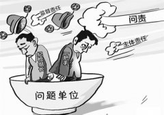 湖北強(qiáng)化落實(shí)“兩個(gè)責(zé)任” 半年問責(zé)340人