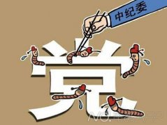 中紀(jì)委：有人妄圖擺平紀(jì)檢機(jī)關(guān)