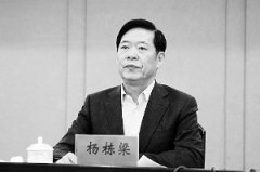 楊棟梁被查創(chuàng)下十八大后“打虎”4個(gè)第一