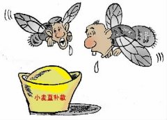 “蒼蠅”們盯上小麥直補(bǔ)款