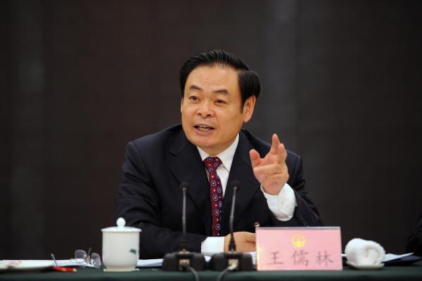 王儒林