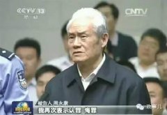 反腐是“派系斗爭(zhēng)”嗎？