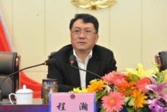 安徽省司法廳黨委委員、副廳長程瀚接受調(diào)查