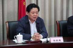 中央巡視殺回馬槍：“回頭看”省份打落多名老虎