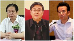 貪官七大腐敗“畫像”之一：政治愿望落空后，他們變了……