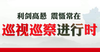 擦亮利劍 直指基層 ——各地開展市縣巡察工作概覽