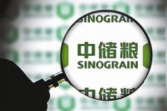 層層腐敗手段隱秘 揭中儲(chǔ)糧黑龍江窩案四大＂生意經(jīng)＂