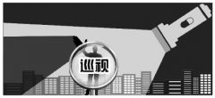 哪些“老虎”干擾妨礙中央巡視工作