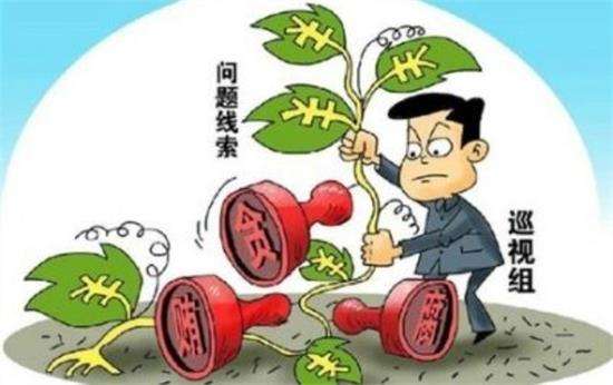 聚焦政治生活，中央巡視組到底看什么？