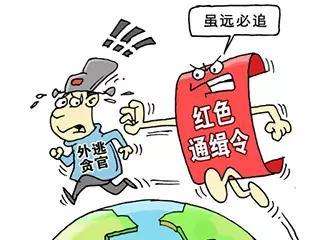 江蘇省追逃辦緝捕“百名紅通人員”戴學(xué)民紀實