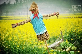 在職不履責(zé)與“稻草人”何異？