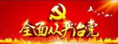 發(fā)揮全面從嚴治黨政治引領(lǐng)保障作用