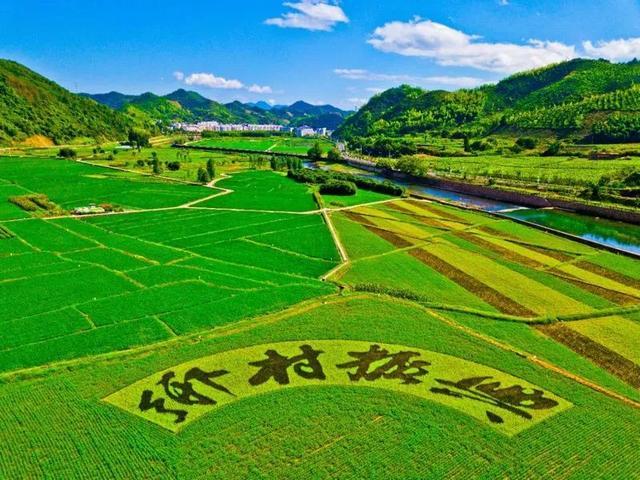 為鄉(xiāng)村振興提供堅(jiān)強(qiáng)紀(jì)律保障