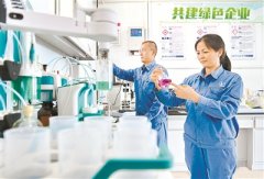 如何遏制“兩高”項目頂風上馬 訪生態(tài)環(huán)境部環(huán)境規(guī)劃院副院長嚴剛