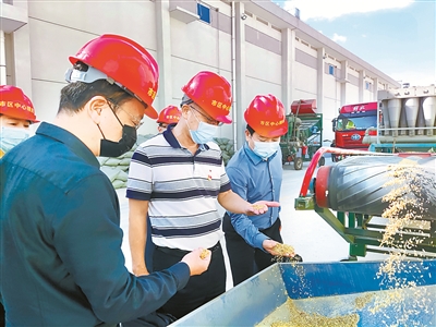 福建省泉州市紀檢監(jiān)察干部到市區(qū)中心糧庫實地查訪糧食儲存和購銷情況。楊一鳴 攝