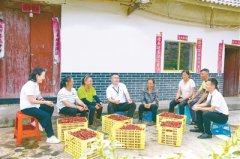 履職不力、違規(guī)操作、虛報套取，惠民惠農(nóng)補(bǔ)貼發(fā)放漏洞頻出 “一卡通”卡在了哪里