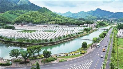 2021年7月，浙江省杭州市淳安縣楓樹嶺鎮(zhèn)下姜村，由葡萄園、草莓園、桃園組成的現(xiàn)代化智能農業(yè)園區(qū)，呈現(xiàn)出一派新農村的美麗圖景。 （圖片來源：視覺中國）