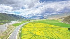 心手相牽 共筑雪域高原中國(guó)夢(mèng) 以習(xí)近平同志為核心的黨中央關(guān)心西藏發(fā)展紀(jì)實(shí)