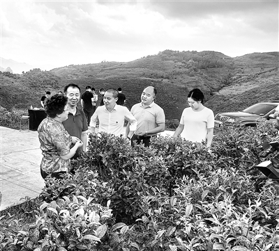 近日，中央紀委國家監(jiān)委駐中央統(tǒng)戰(zhàn)部紀檢監(jiān)察組干部在貴州省黔西南布依族苗族自治州晴隆縣，調(diào)研督查綜合監(jiān)督單位幫扶民族地區(qū)鞏固拓展脫貧攻堅成果同鄉(xiāng)村振興有效銜接情況。項健 攝