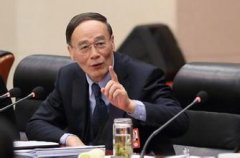 王岐山：發(fā)揮巡視監(jiān)督作用 助力全面從嚴(yán)治黨