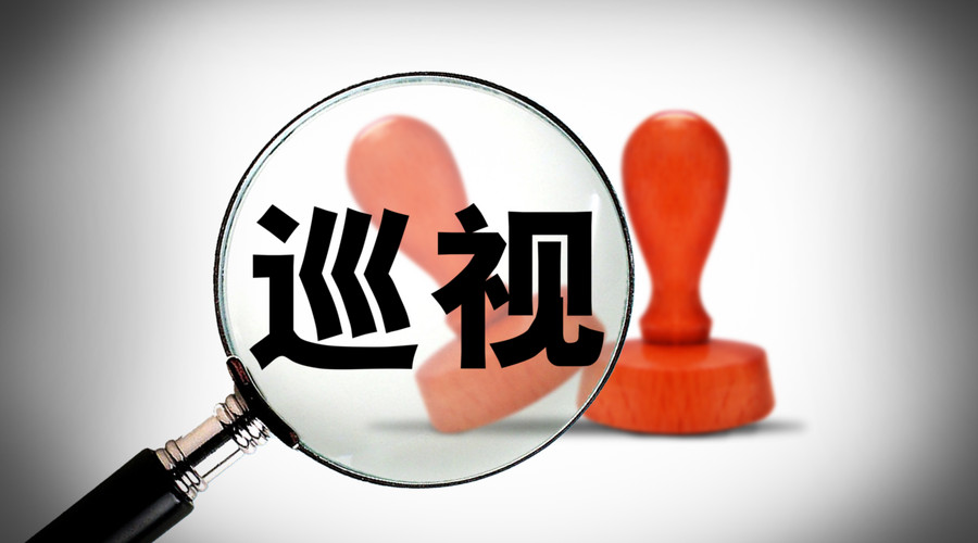 巡視組：從政治上發(fā)現問題查找偏差