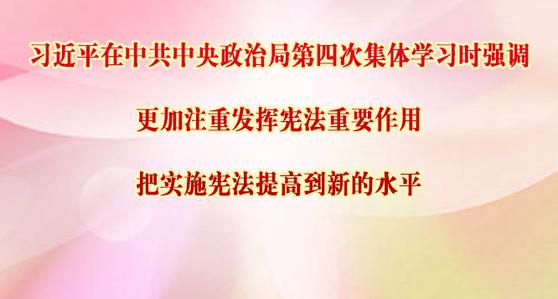 更加注重發(fā)揮憲法重要作用 把實施憲法提高到新的水平