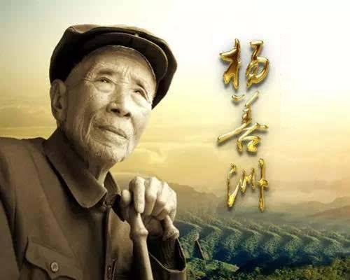 楊善洲