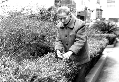 圖為孫圣軒在醫(yī)院宿舍小區(qū)修剪花草。
