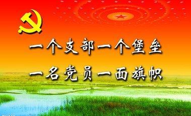 建強戰(zhàn)斗堡壘，讓鄉(xiāng)村振興動力澎湃