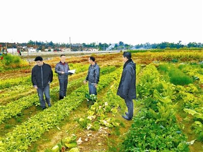 尋找隱身“低保戶”
