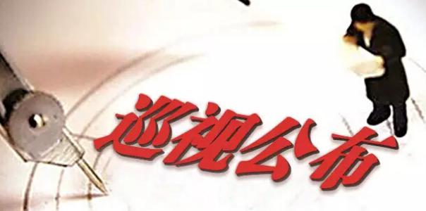 北京環(huán)衛(wèi)集團、化工集團等4家單位公布巡視整改情況