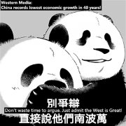 事實勝于“雙標”