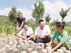 貴州做實(shí)過渡期專項(xiàng)監(jiān)督鞏固脫貧成果 攻下來更要守得住